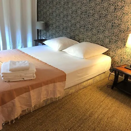 Louis Figuier Appartement Montpellier